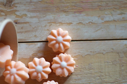 Aromatherapy Sample Pack - ZyndlMelts