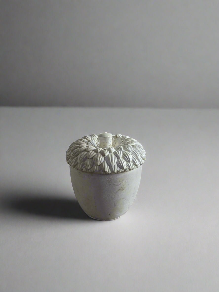 Books and Leather Scented Candle | 5 Oz Coconut wax Candle - ZyndlCandles