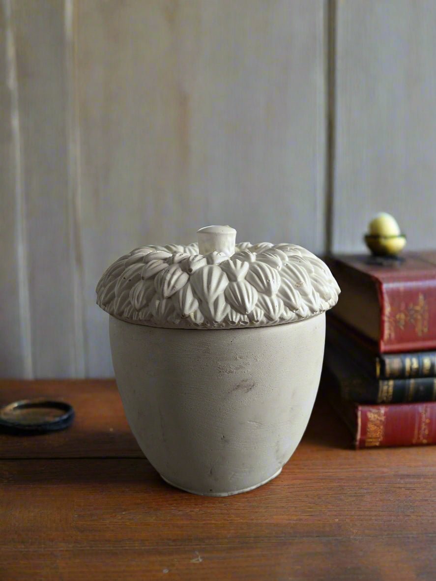 Books and Leather Scented Candle | 5 Oz Coconut wax Candle - ZyndlCandles
