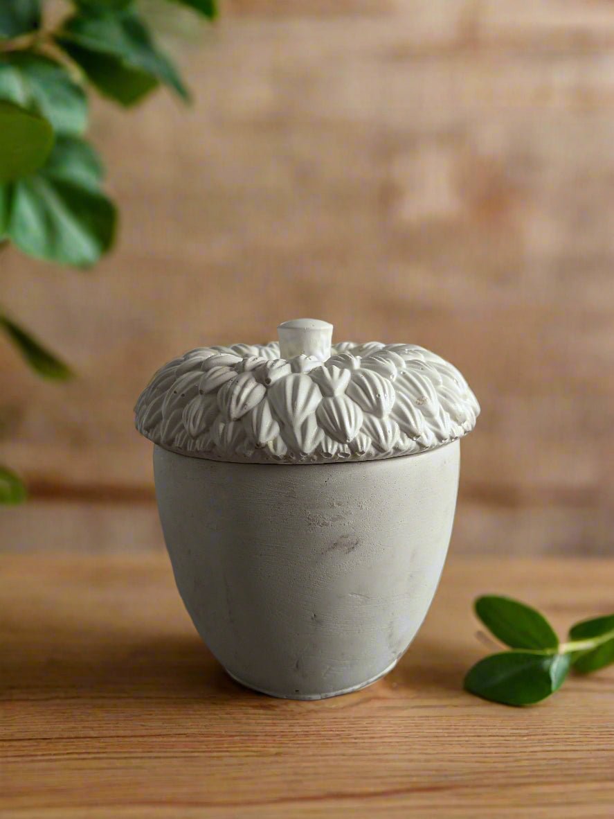 Books and Leather Scented Candle | 5 Oz Coconut wax Candle - ZyndlCandles