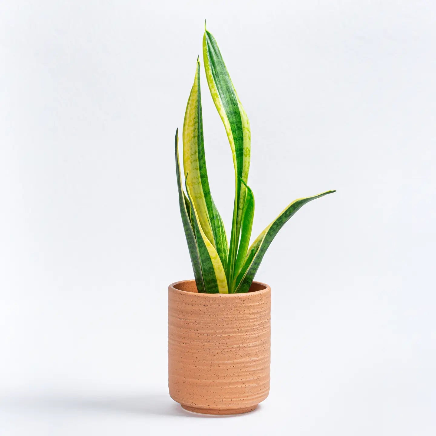 Terracotta Cutlery organizer |Plant pot - ZyndlHome Decor